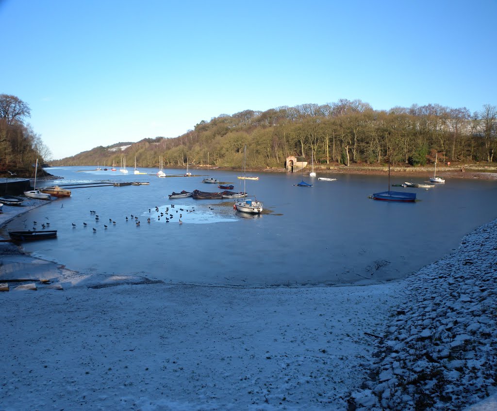 Rudyard without compensating for the blue tone. by Bob McCraight