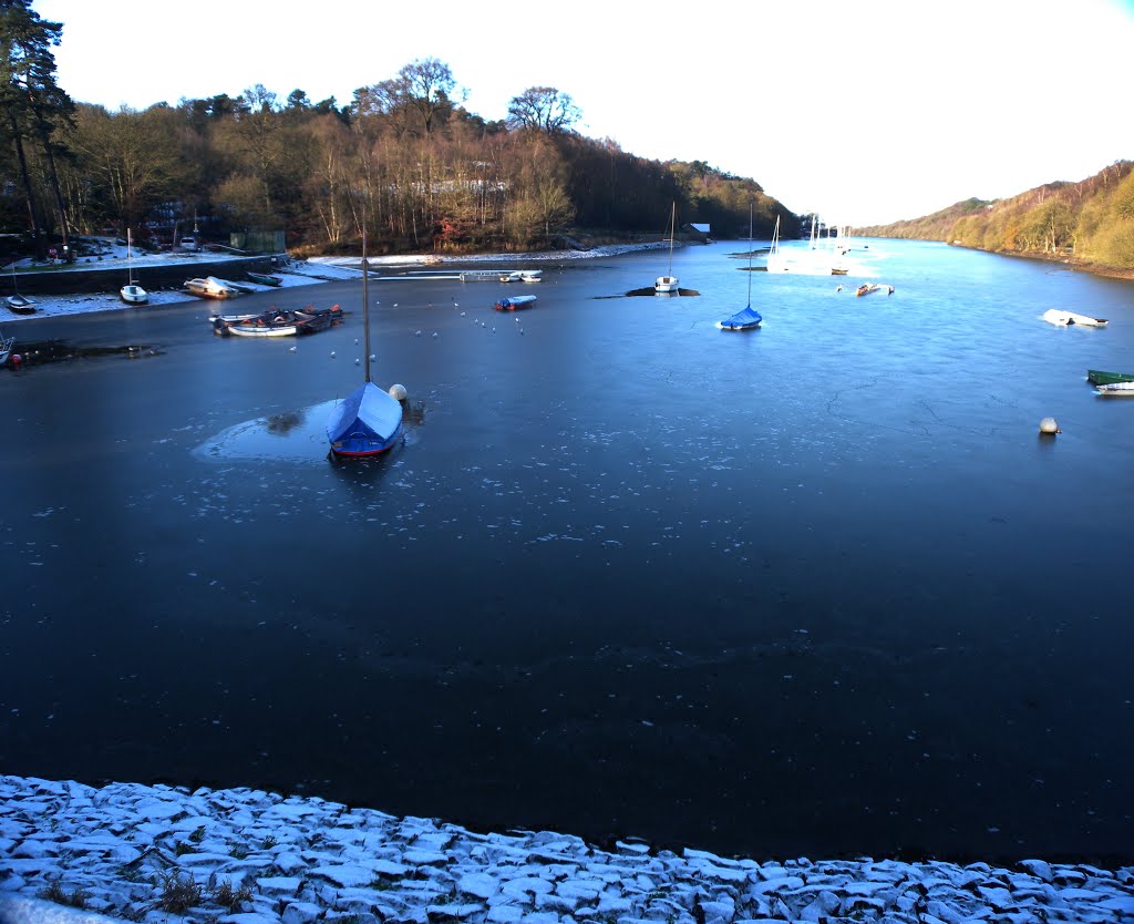 Rudyard without compensating for the blue tone. by Bob McCraight