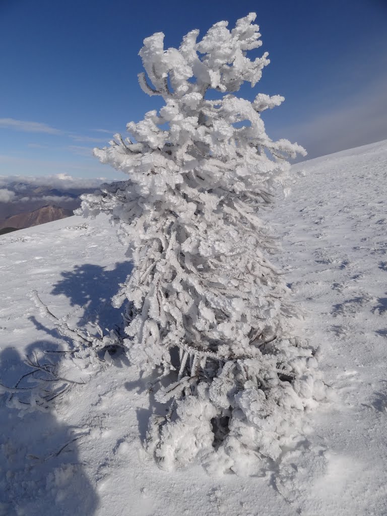 TO PEAK TSOLIAS 1 by SYRSAKIS