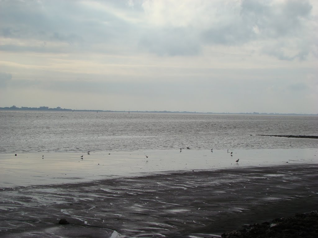 Ostfriesland (Wattenmeer) August 2011 by DortmundWestfalica