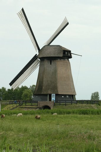 Schermerhorn NL - Bovenmolen E - by frank001