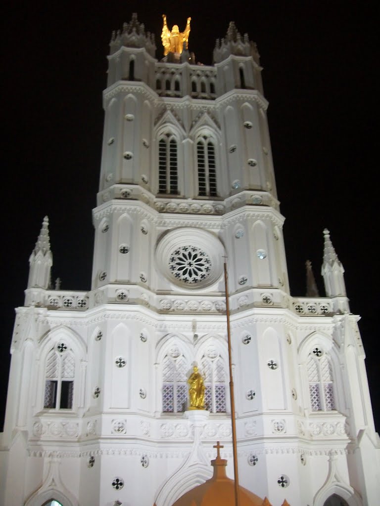 Palayam church by Gokul GS