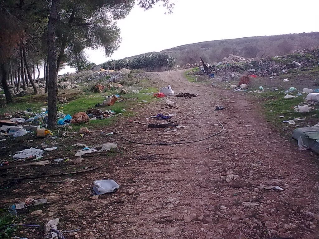 רוכב ישראל-סוף העליה מקראת כניסה למשהד מכיוון ציפורי by drorwine