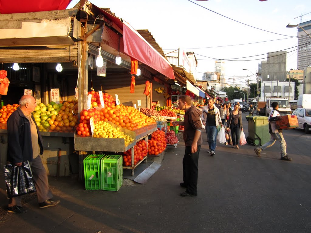 South east corner of the Carmel Shuk 2011Dec by gbrojges