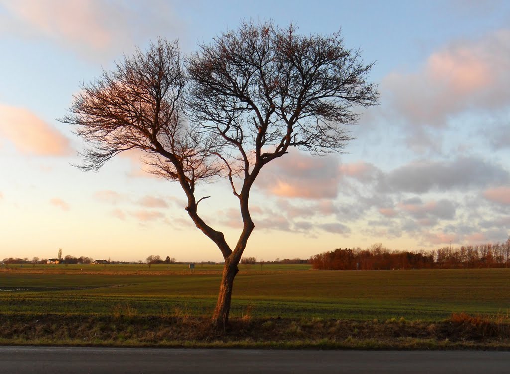 Landskab ved Halsted by AGChristensen