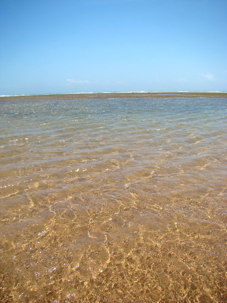 Crystal clear waters - Praia do Forte Beach by aelontra