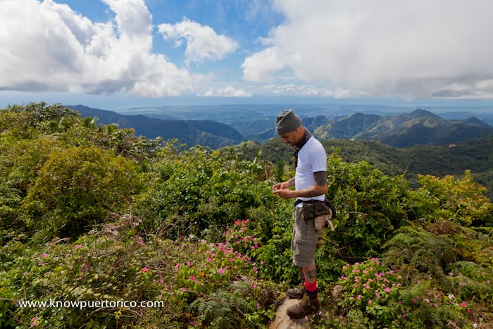 Pico guilarte by Isaac Ruiz