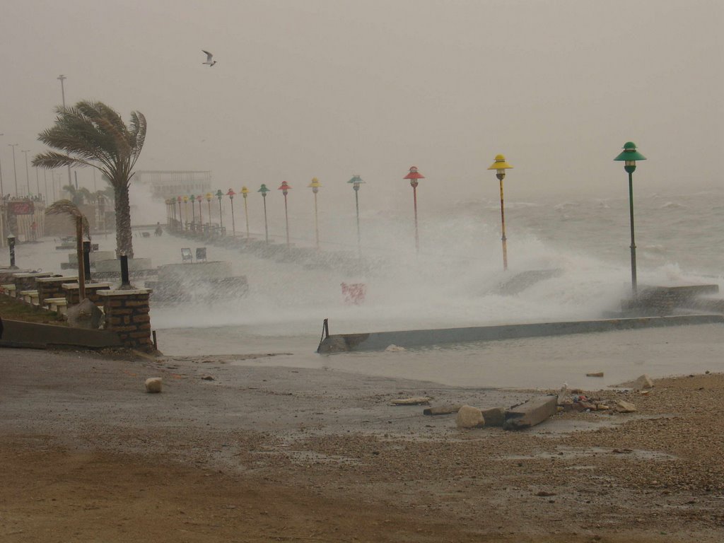 Bandar Bushehr, Bushehr, Iran by ebiverdi