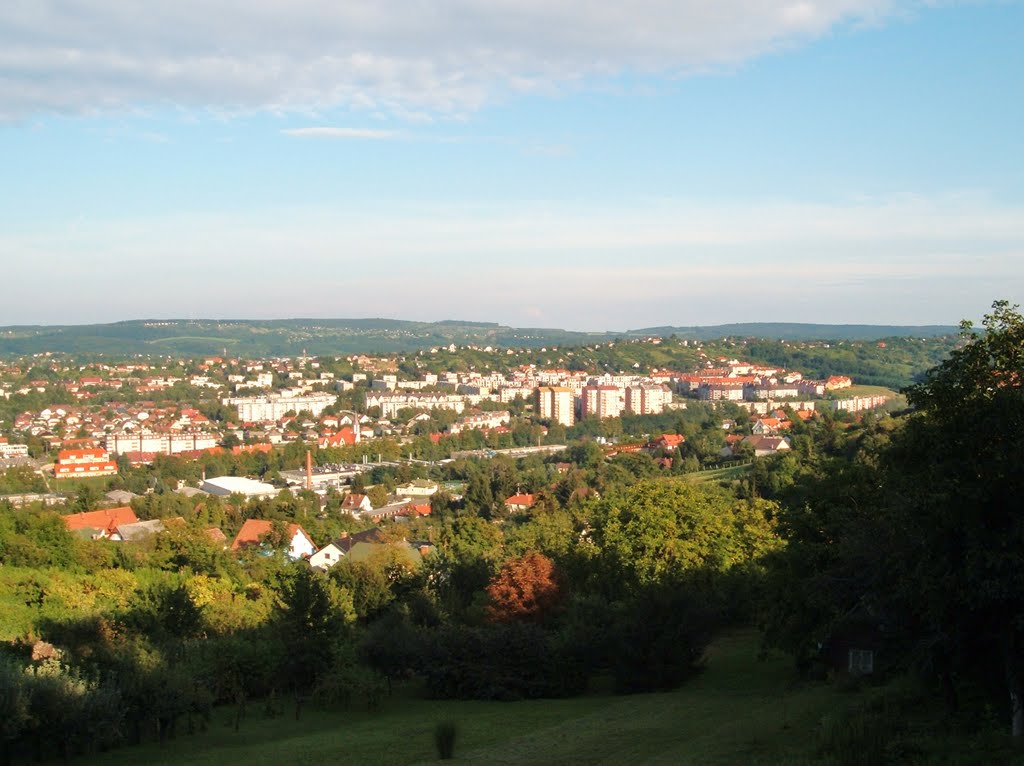 Zalaegerszeg látkép by Sipos András Zalaegerszeg és Das Haus ingatla