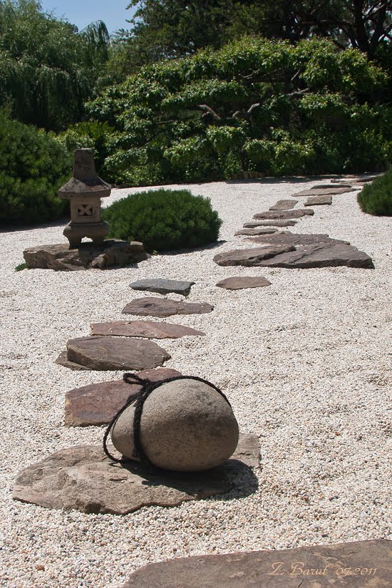 Japanese Garden - Ogród Botaniczny by Zdzisław Barut