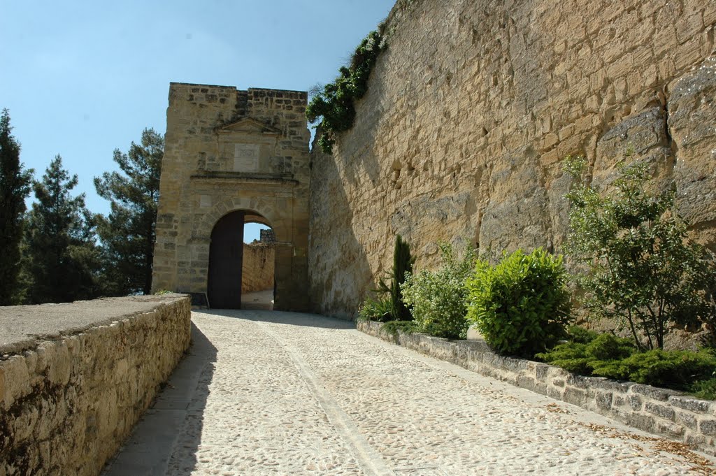 CASTILLO FORTALEZA DE LA MOTA by EL SACRIS