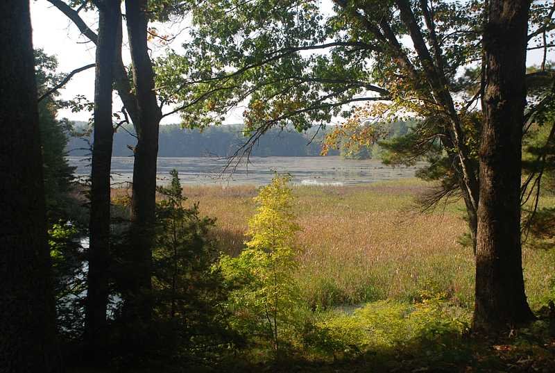 Delaney Pond, East Bolton Ma by pguk