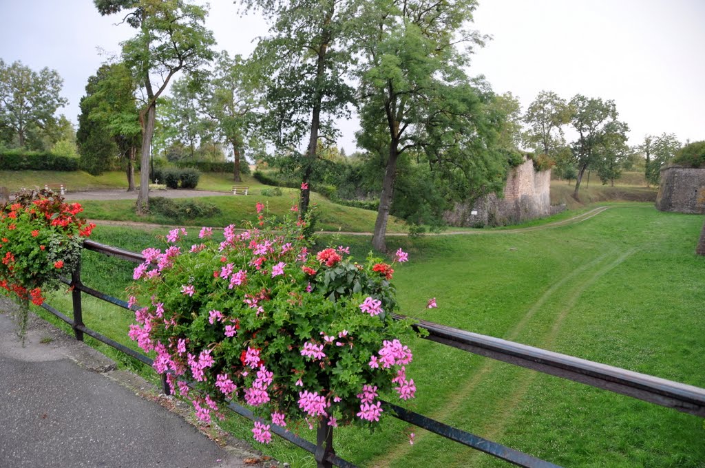 Neuf-Brisach in Alsace, France. by Nicola e Pina Europa…