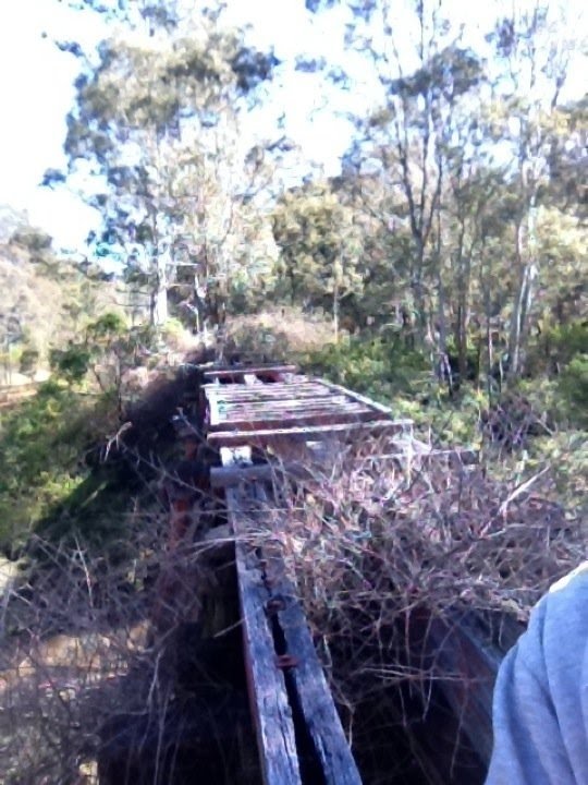 Richmond Vale Rail over Surveyors Creek by marhleet