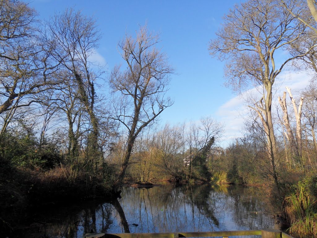 The Victorian Ice house pond at Blabys Bouskell parkland by Bobsky.