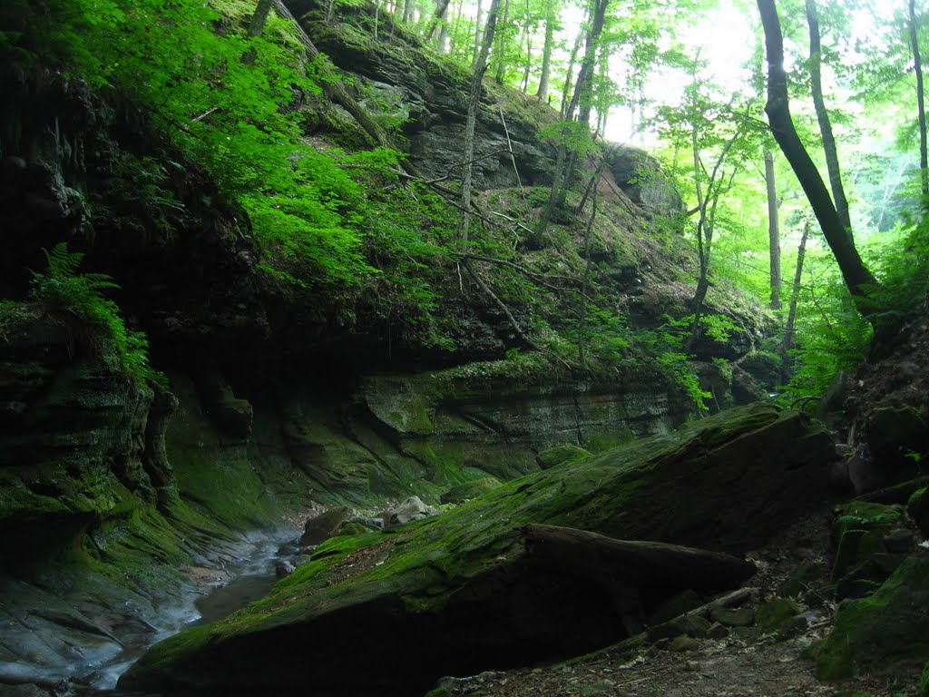 Parfrey's Glen by tnt27