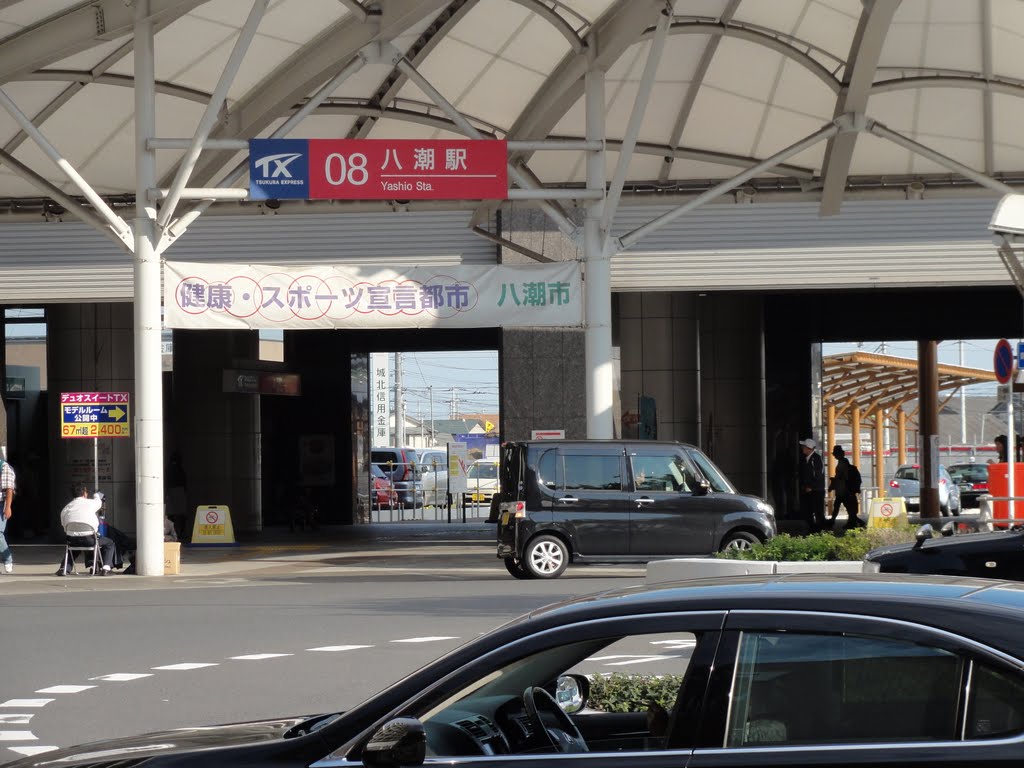 八潮駅 by maplefreak.tokyo