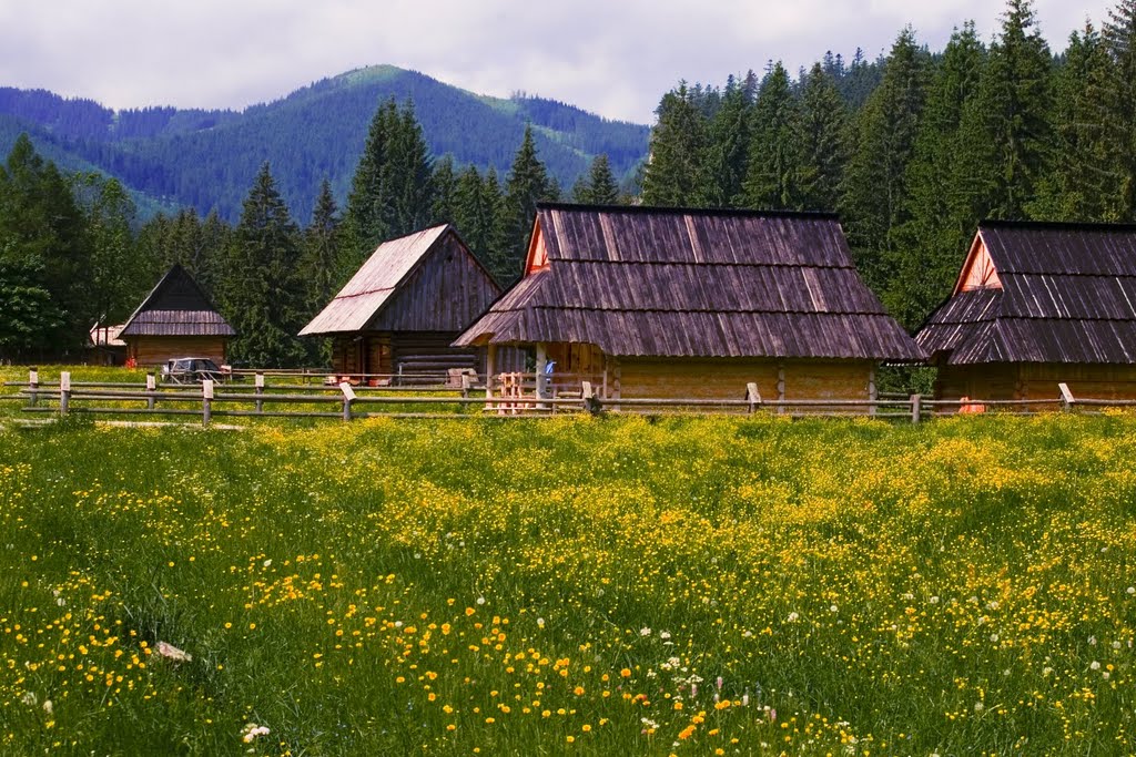 Tatry - dolina chochołowska by kubickijacek