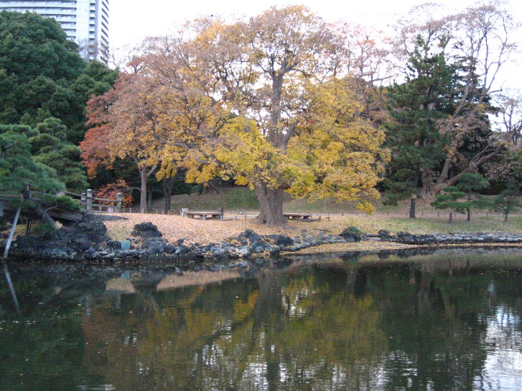 Autumn in Tokyo by zubairbilal