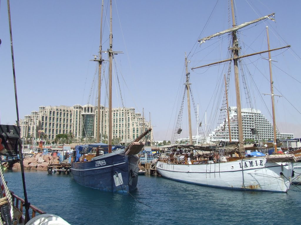 Israel. Eilat (63828190) by Viktor Bakhmutov