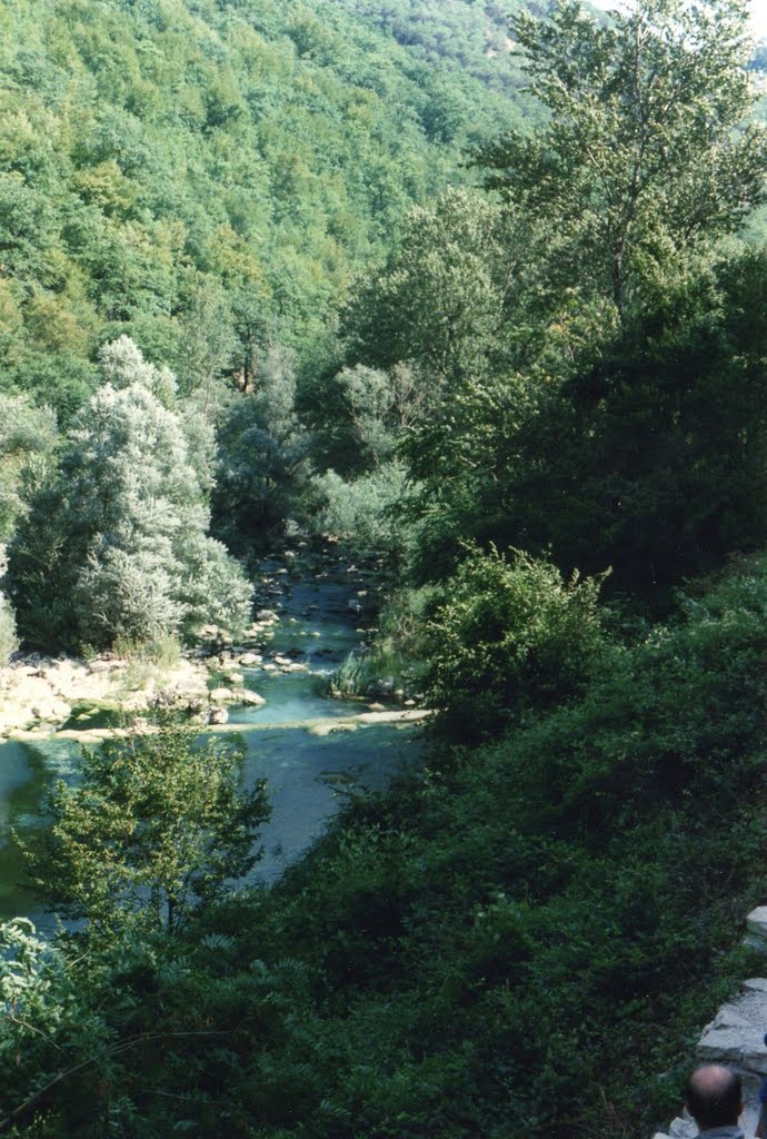 Sorgente solfurea del fiume Sentino by Paolo Lazzarini