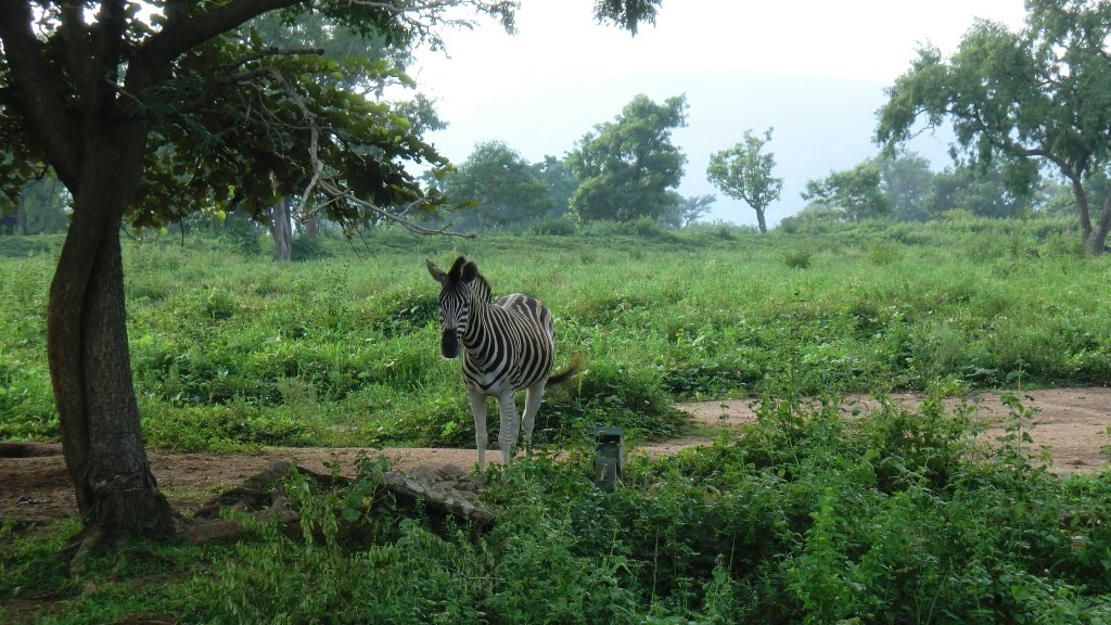 Abuja Nigeria by AKIN GULER