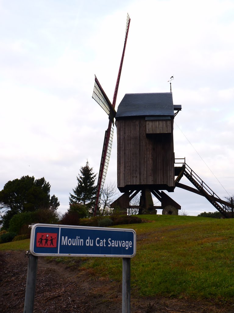 Le moulin du Cat Sauvage by Rudy Pické