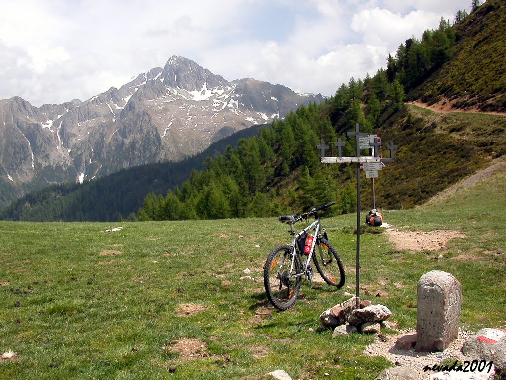 Passo Cinque Croci e Cima d'Asta by nevada2001