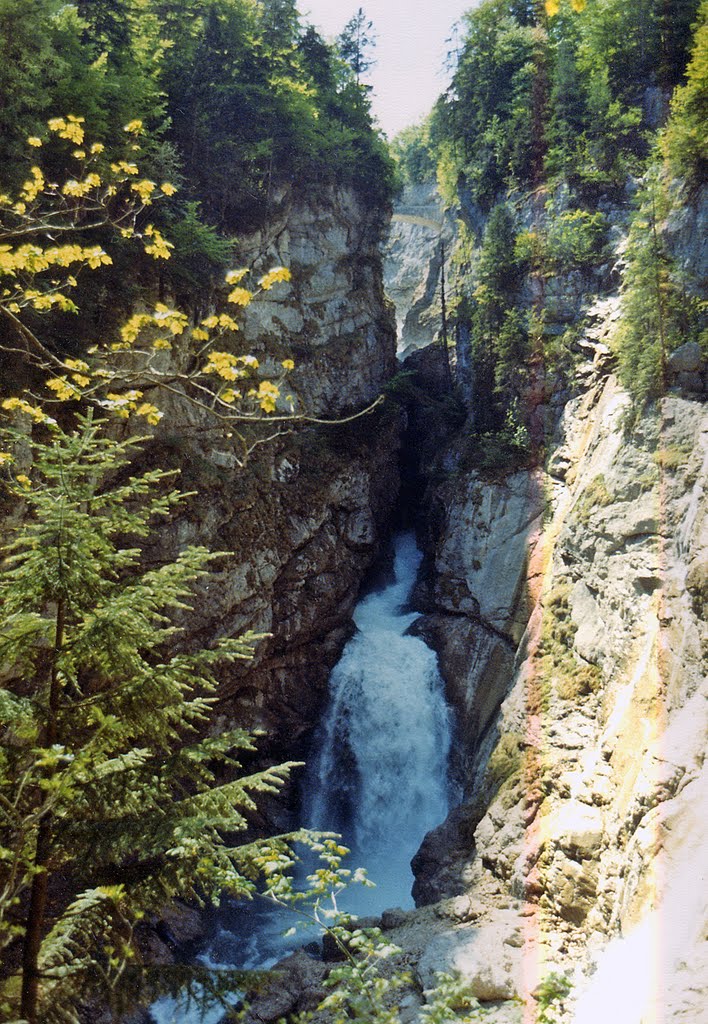 Waldbach-Fall by Adolf Riess