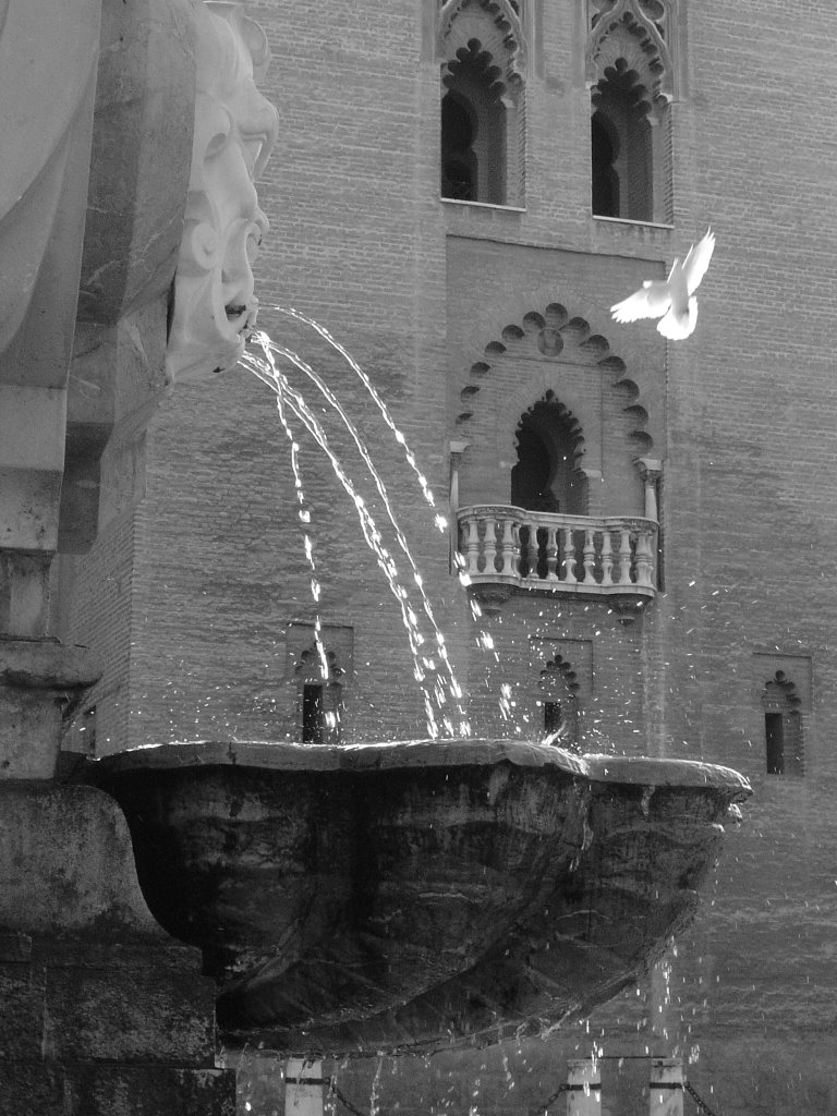 Giralda, Paloma y Fuente by Antonio de la Cueva