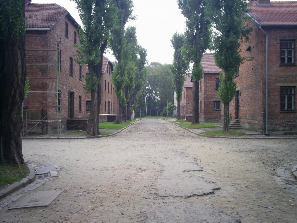 Auschwitz by dutchresort