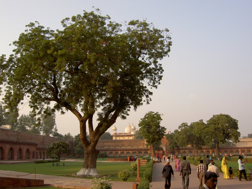 Agra Fort ( Agra - India ) by Dirk Laureyssens