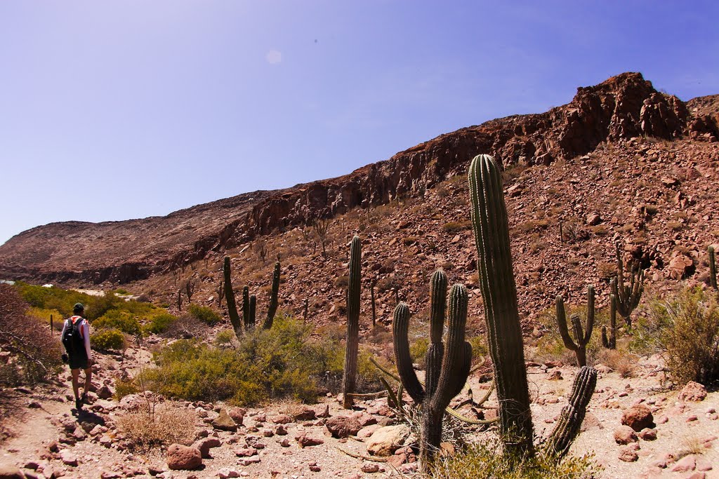 Isla Partida, Baja California Sur by J Hector Alanis Rojas