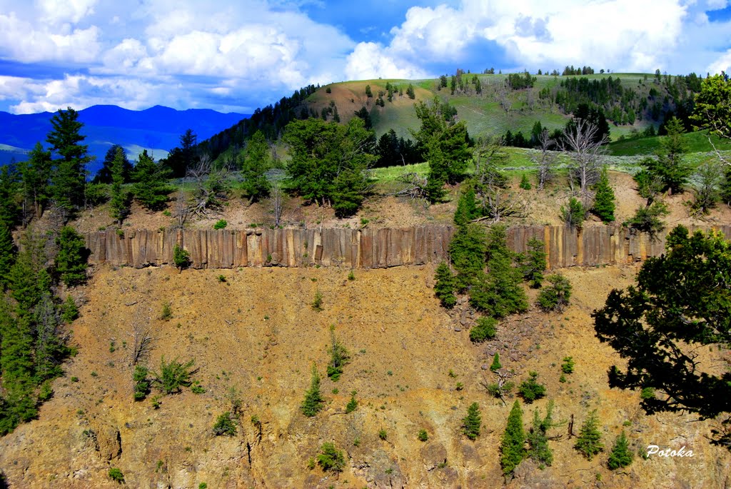 Capa de basalto en el cañón del río Yellowstone by Potoka