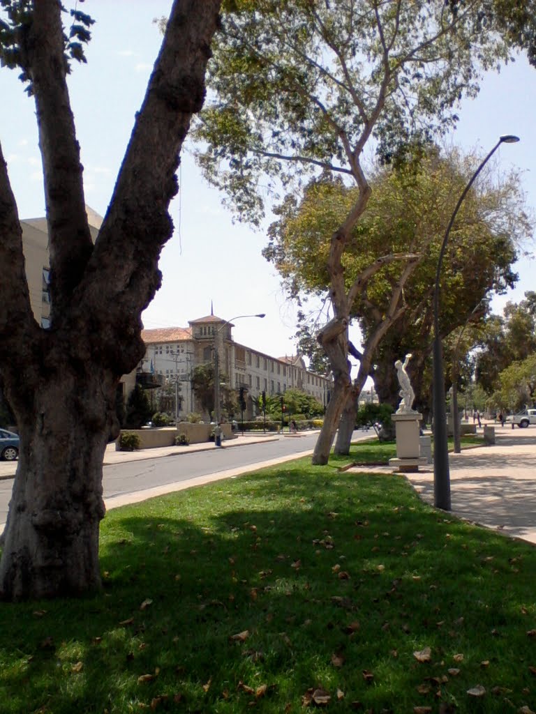 Alameda de Francisco de Aguirre by .:.th3_s3b@.:.