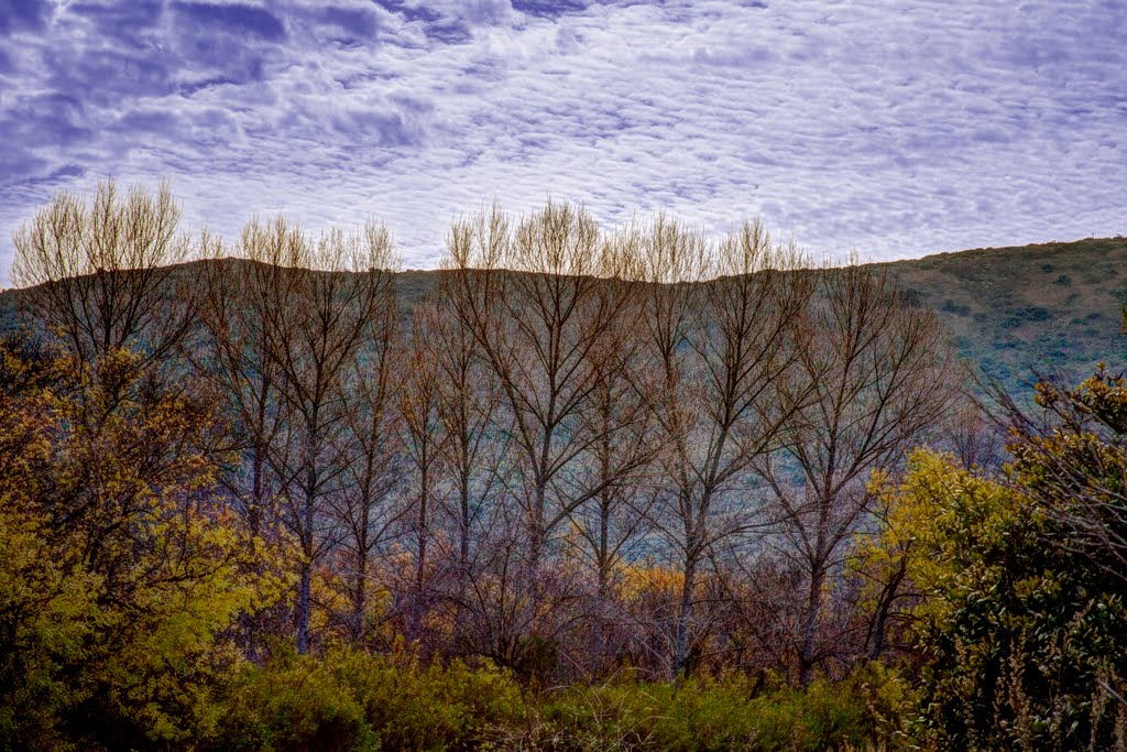 Aliso and Wood Canyon by John Fellner