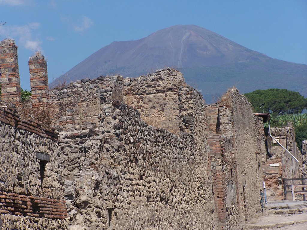 Pompei et le Vésuve by aliciar