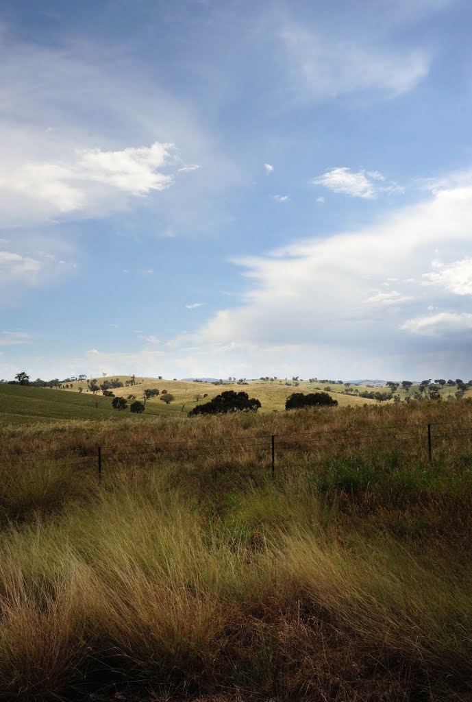 Near Wagga by densil