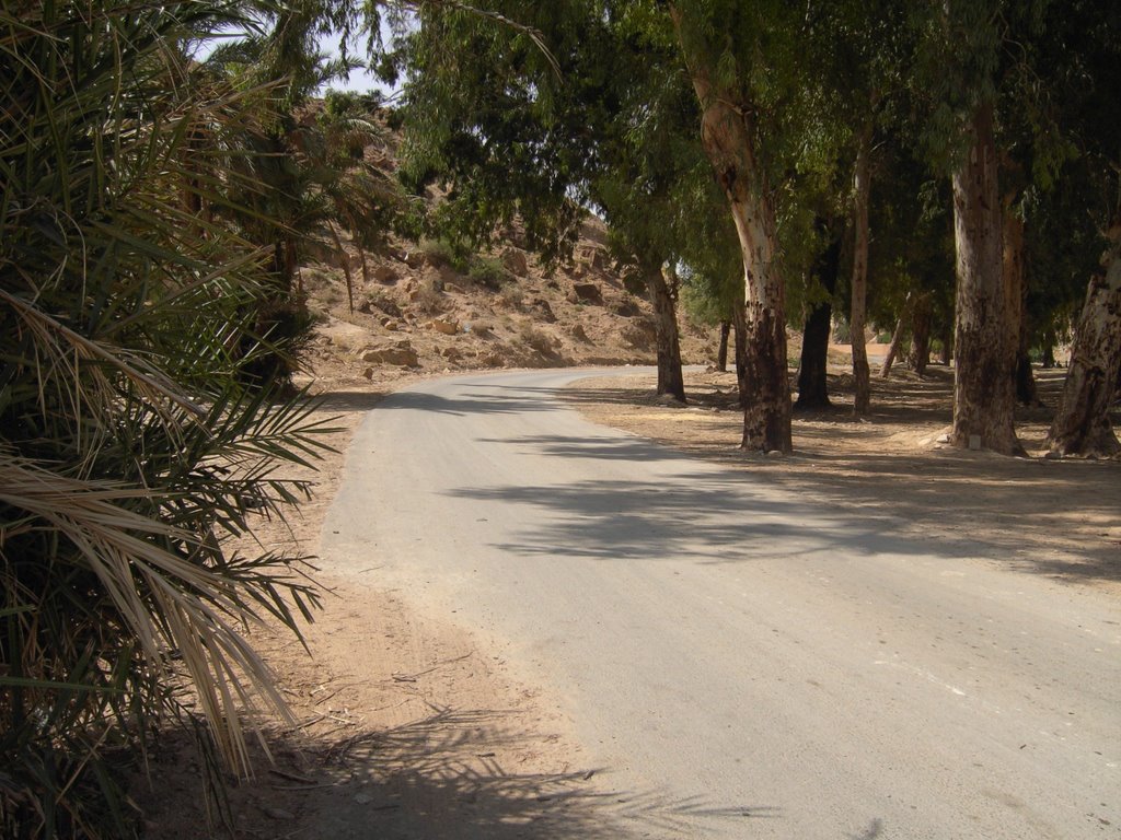 Bou Saada, Algeria by Salah Bouchaala