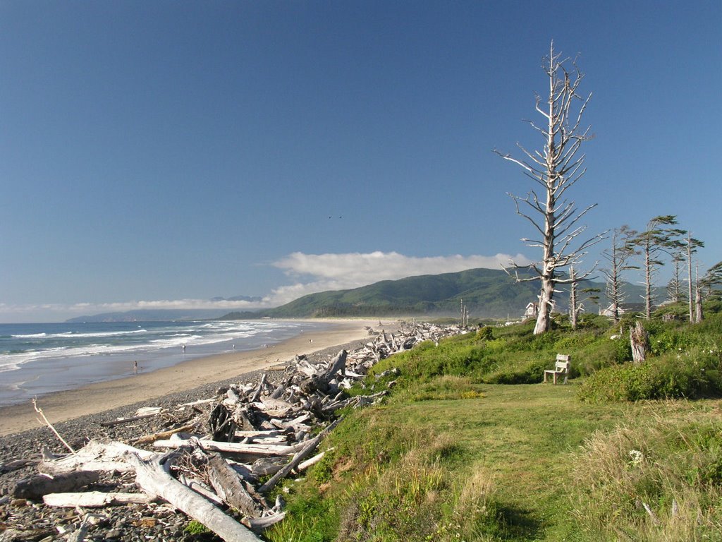 Cape Meares Bench by Andrew Sager