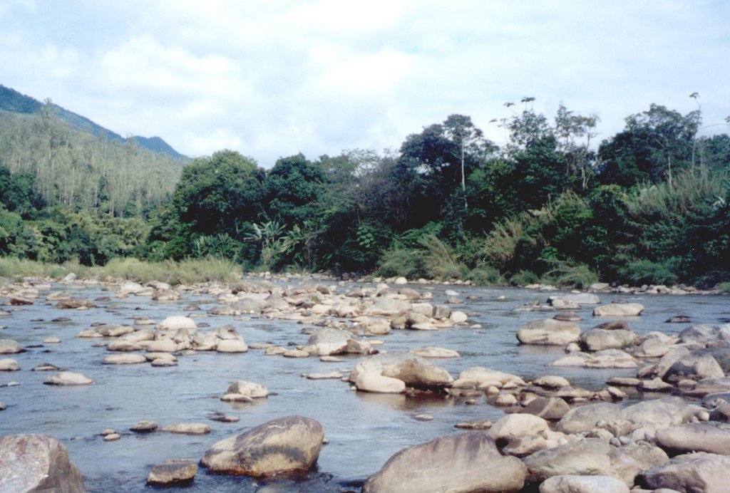 Rio Cubatão, SP, Brasil. by André Bonacin