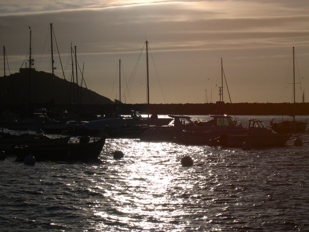 Trébeurden (le port, l'ile Millau) by René POUX