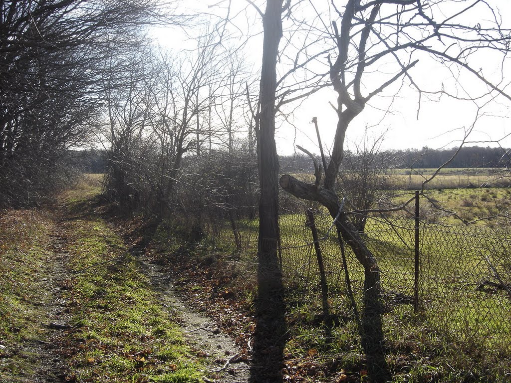 Farm in West Bridgewater in December by chris1073