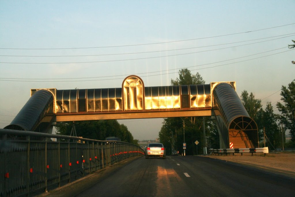 В городе Елец пешеходный переход by Aleksandr1953818