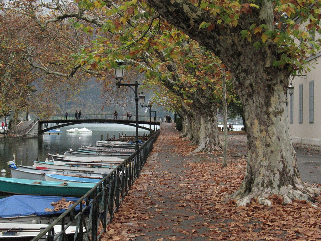 November Pont des Amours by dmcguirk