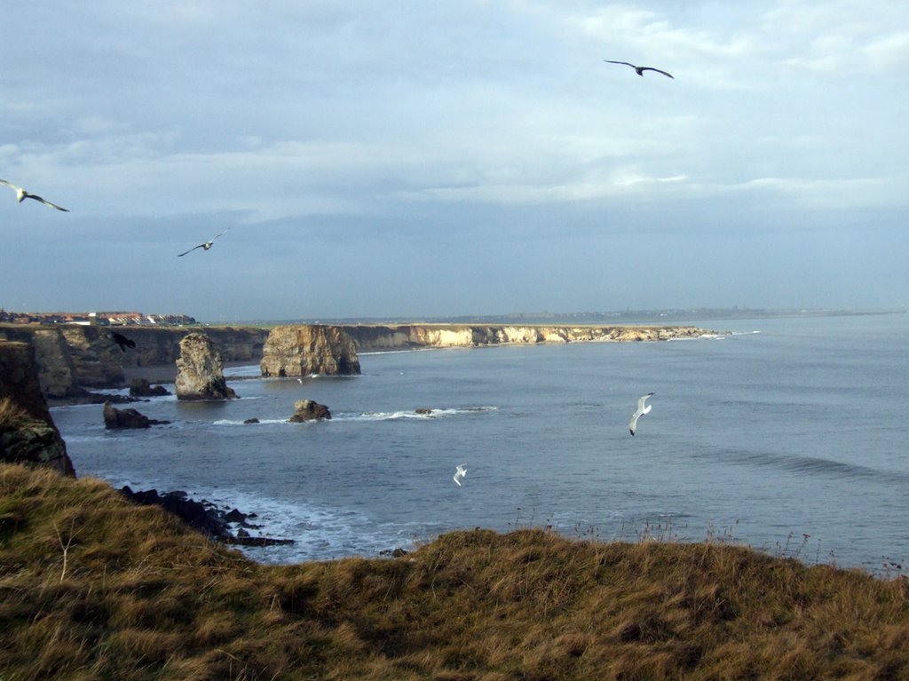 Marsden Grotto and Rocks by Derek Chapman