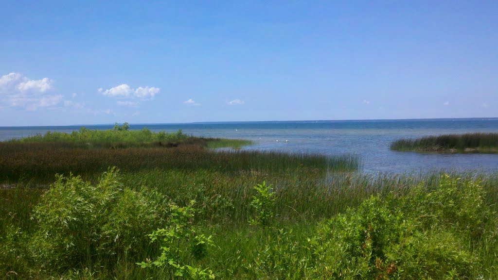 2011 Marsh along coast at Cheboygan City Park - Cheboygan MI by wamcconnell