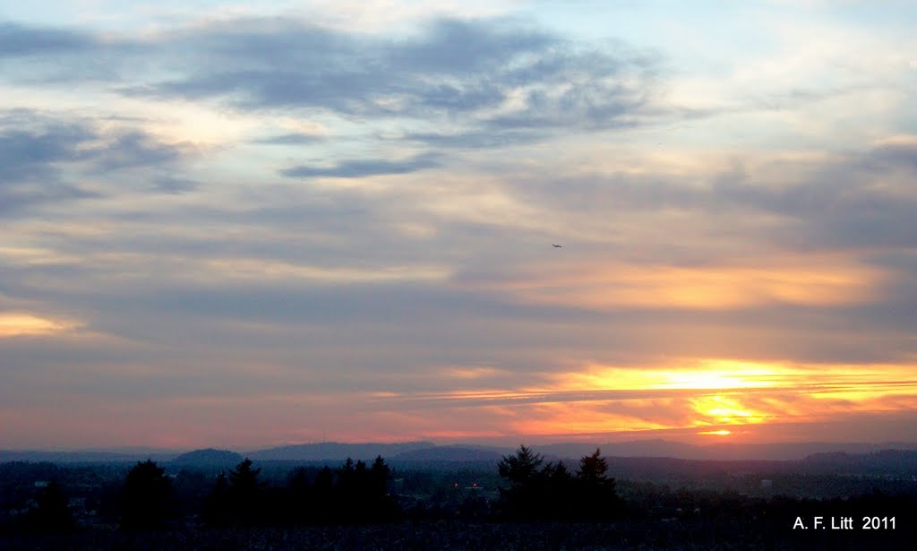 Broughton Bluff, Near Troutdale, Oregon. September 21, 2011. by A. F. Litt