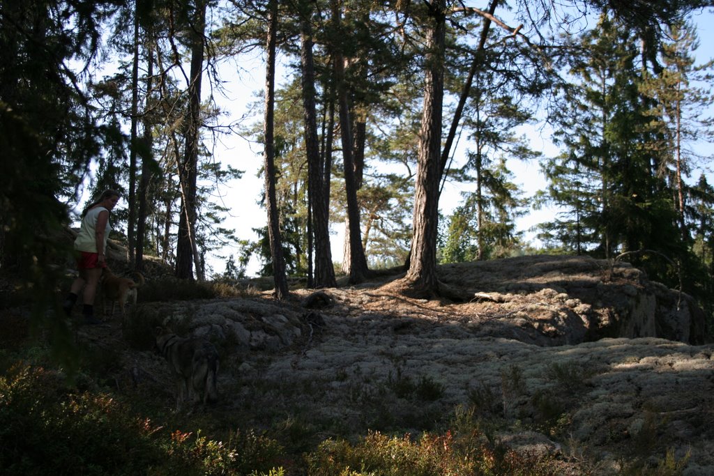 Omgeving van de "Lasse-Majas Grotta" (Ernie) by Ernie van der Vaart