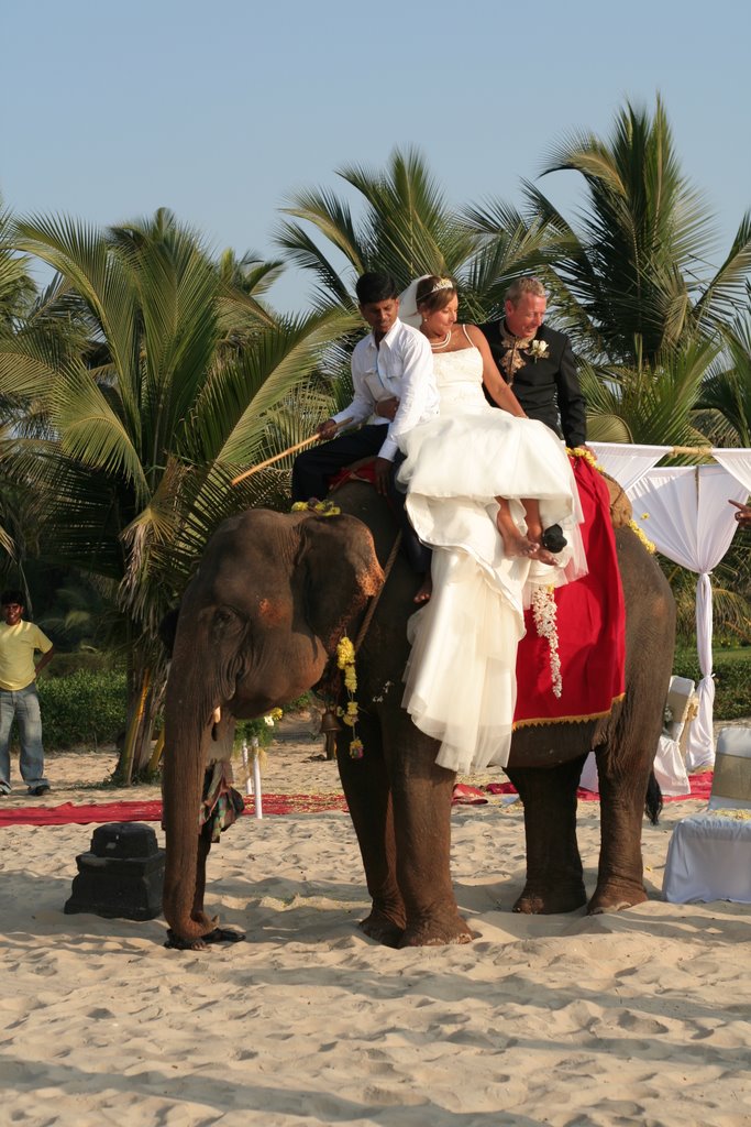 Wedding on GOA by Ammosik